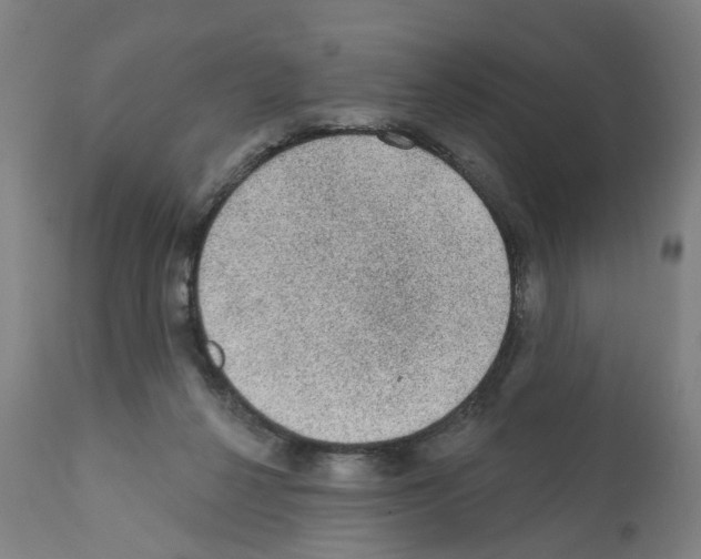 X0000112380264200909241222