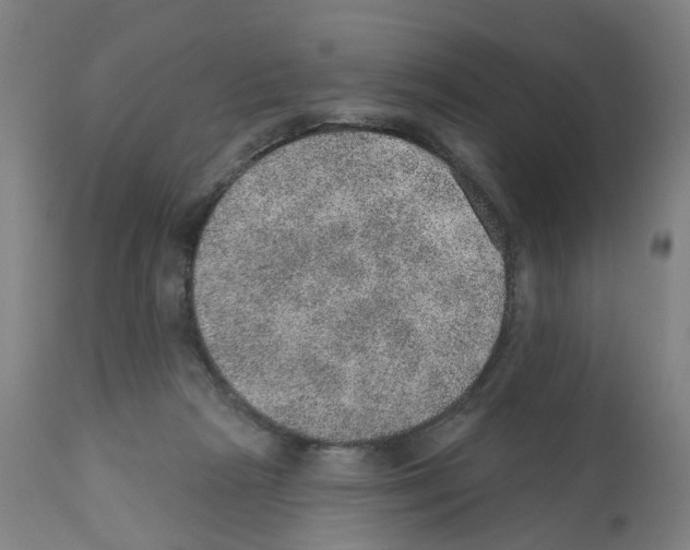 X0000112380265200909241222