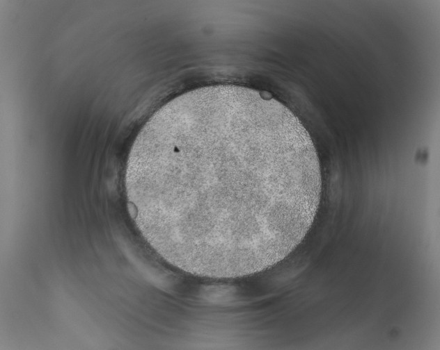 X0000112380266200909241222