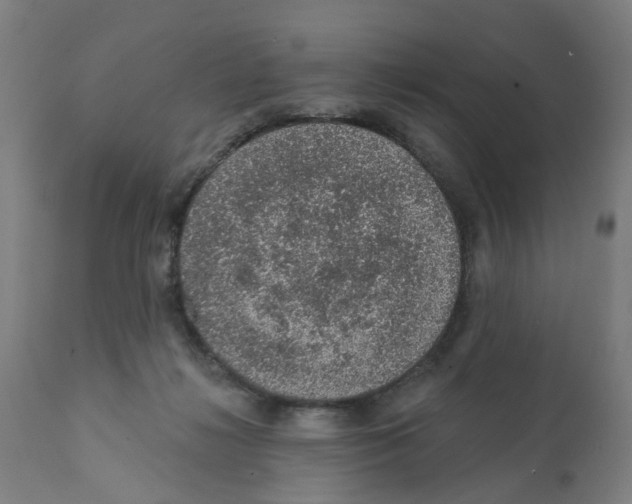 X0000112380268200909241222