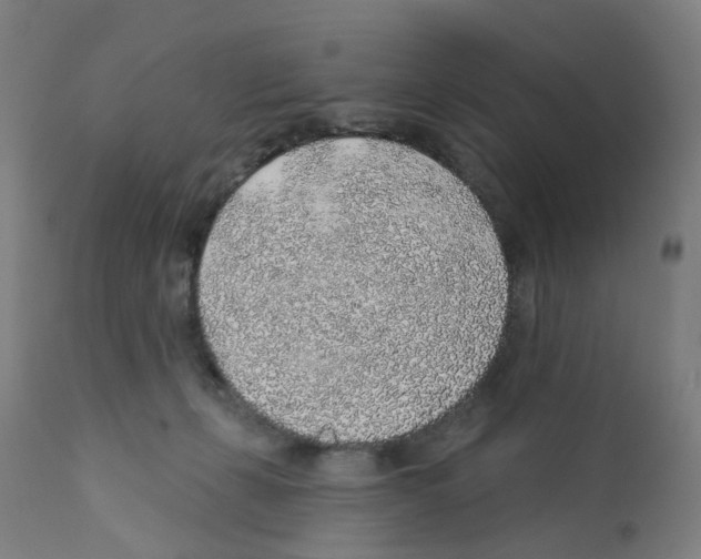 X0000112380271200909241222