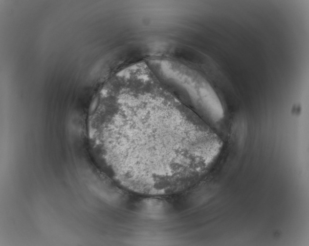 X0000112380272200909241222