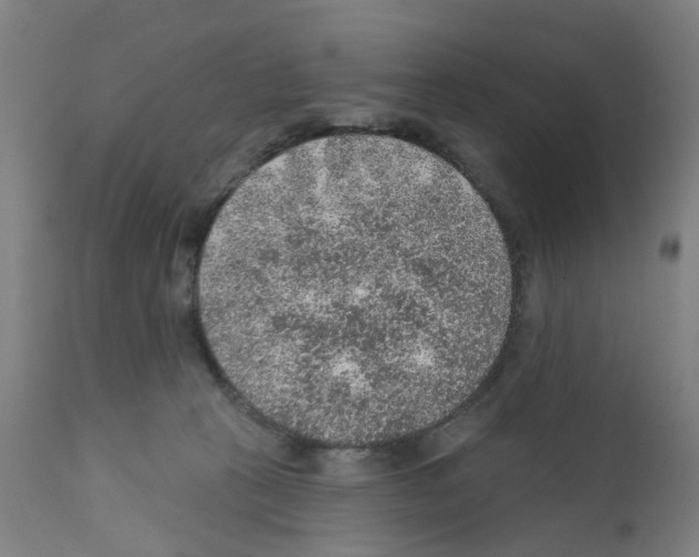 X0000112380273200909241222