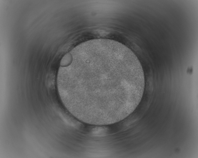 X0000112380274200909241222