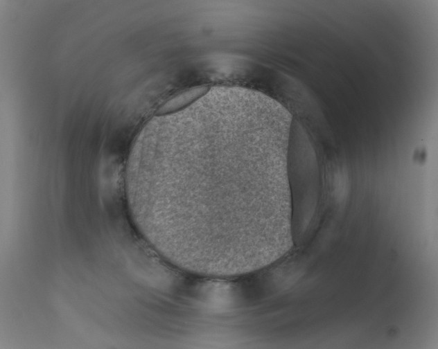 X0000112380276200909241222