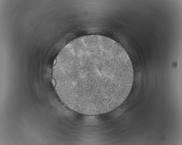 X0000112380281200909241222