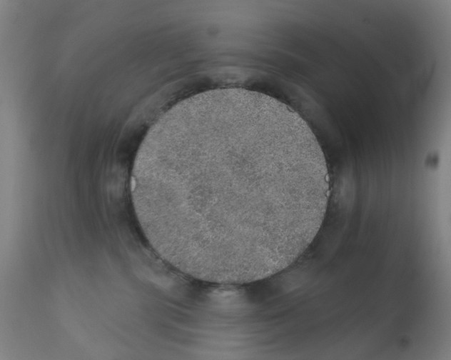 X0000112380283200909241222