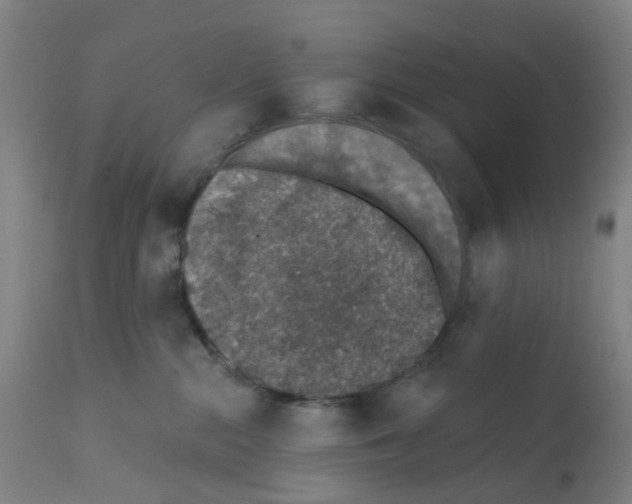 X0000112380284200909241222