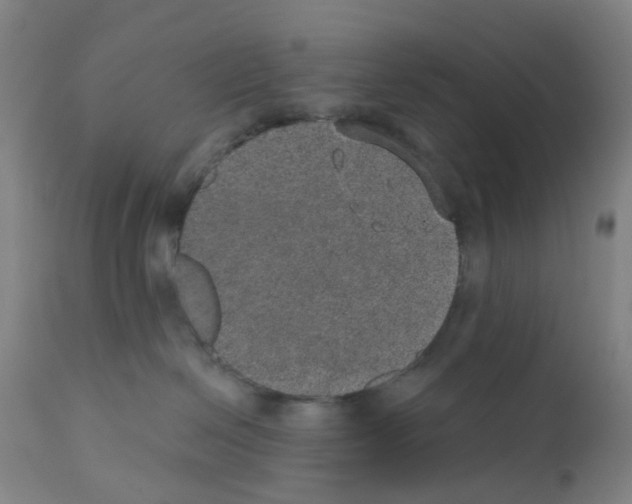 X0000112380286200909241222