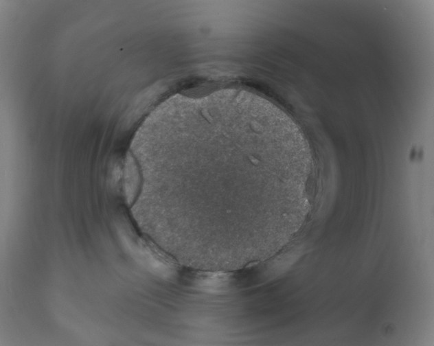 X0000112380288200909241222