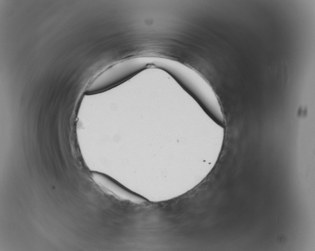 X0000112380289200909241221