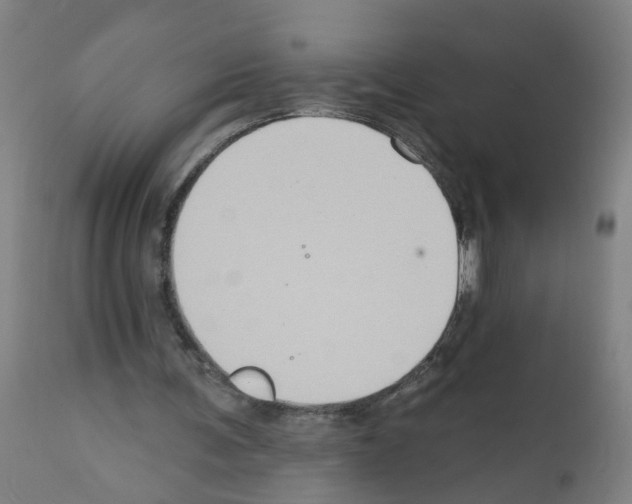 X0000112380291200909241221