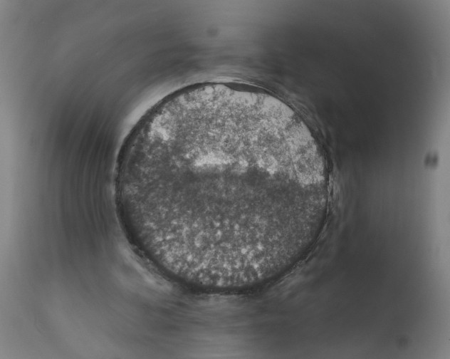 X0000112380292200909241221