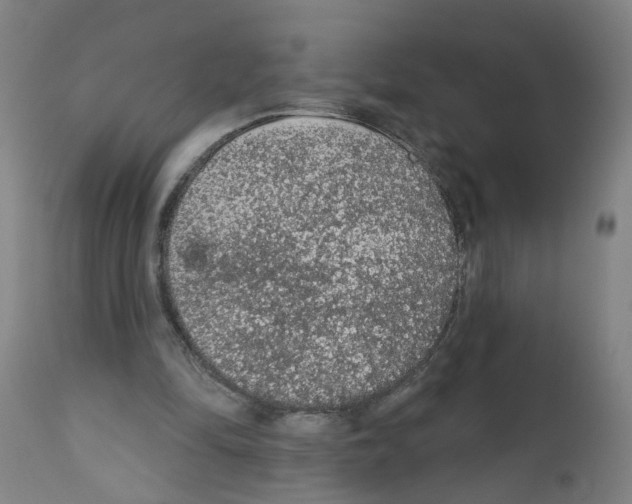 X0000112380294200909241221