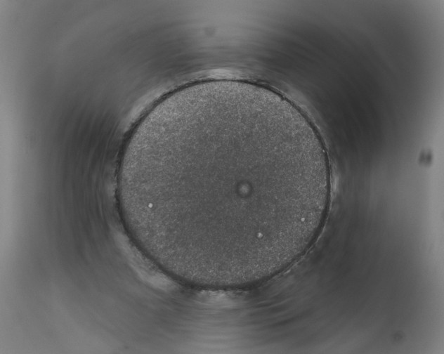 X0000112380297200909241221