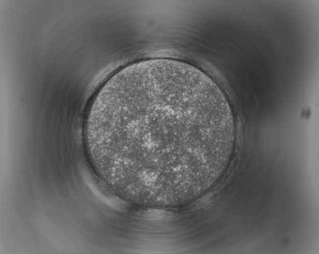 X0000112380298200909241221