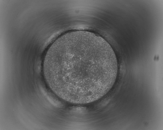 X0000112380304200909241221