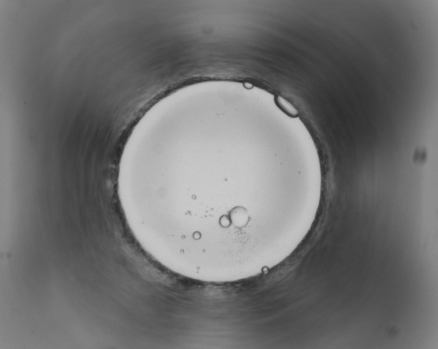 X0000112380305200909241221