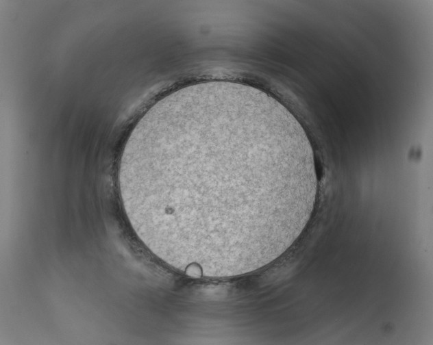 X0000112380306200909241221