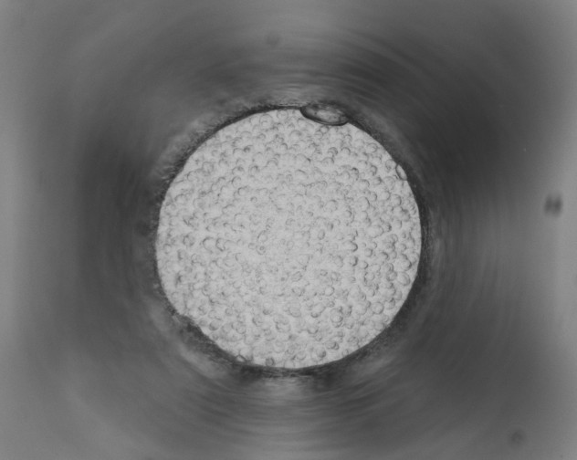 X0000112380307200909241221