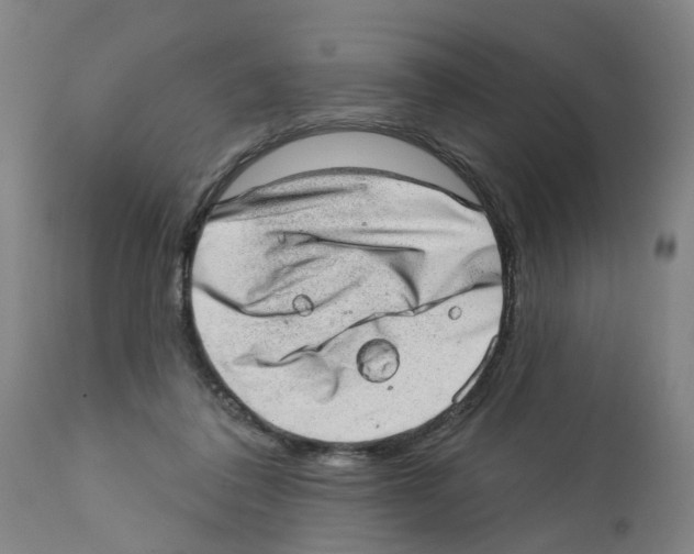 X0000112380308200909241221