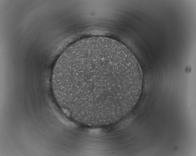 X0000112380309200909241221