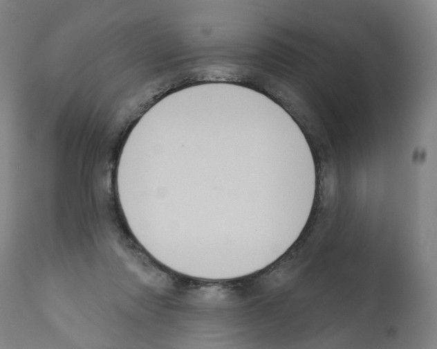 X0000112380310200909241221