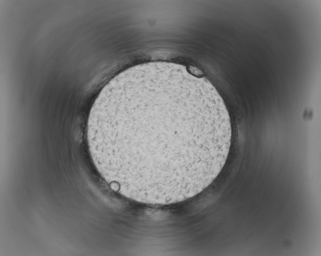 X0000112380311200909241221