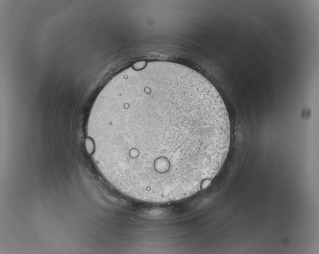 X0000112380312200909241221