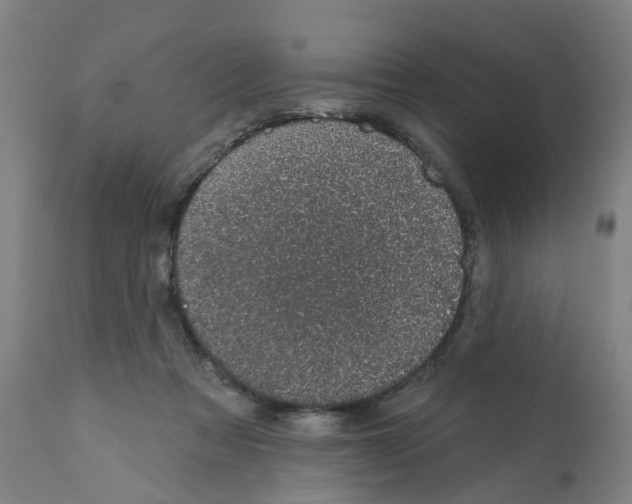 X0000112380313200909241221