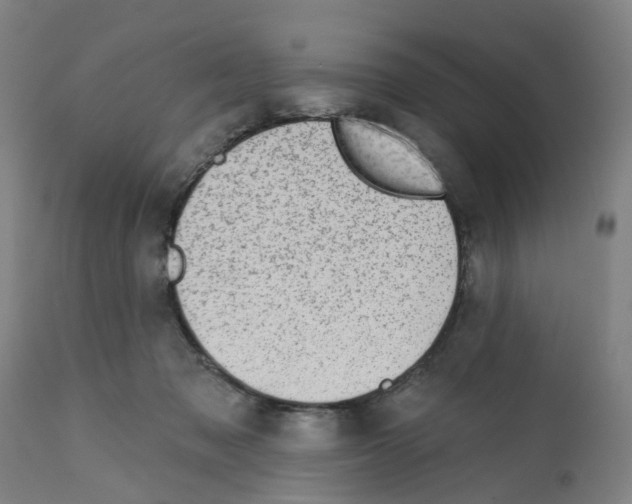 X0000112380317200909241221