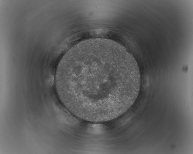 X0000112380324200909241221