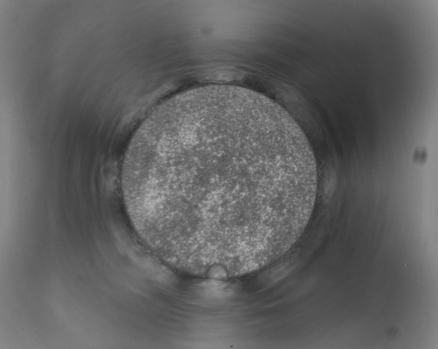 X0000112380326200909241221