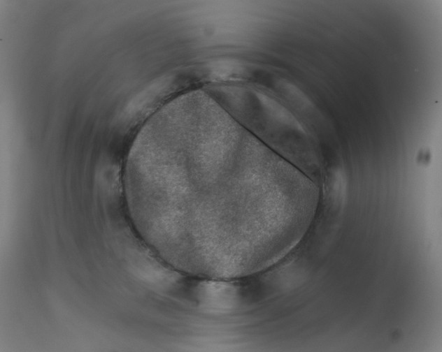 X0000112380327200909241221