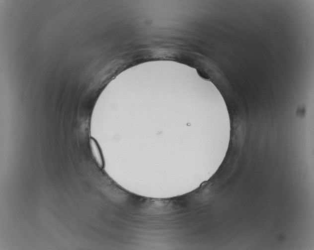 X0000112380329200909241221