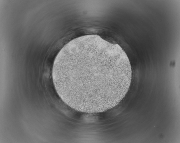 X0000112380331200909241221