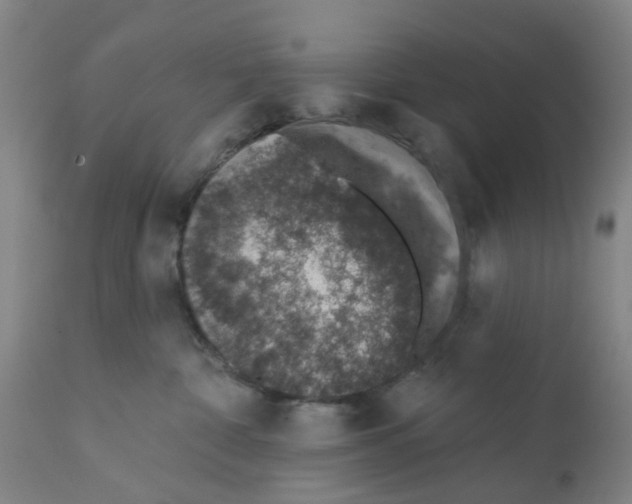 X0000112380332200909241221