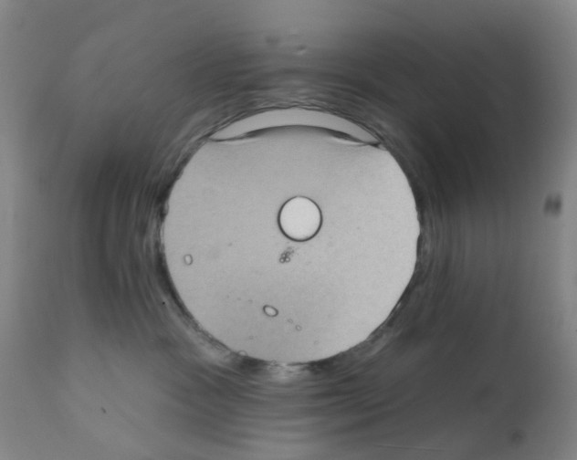 X0000112380333200909241221