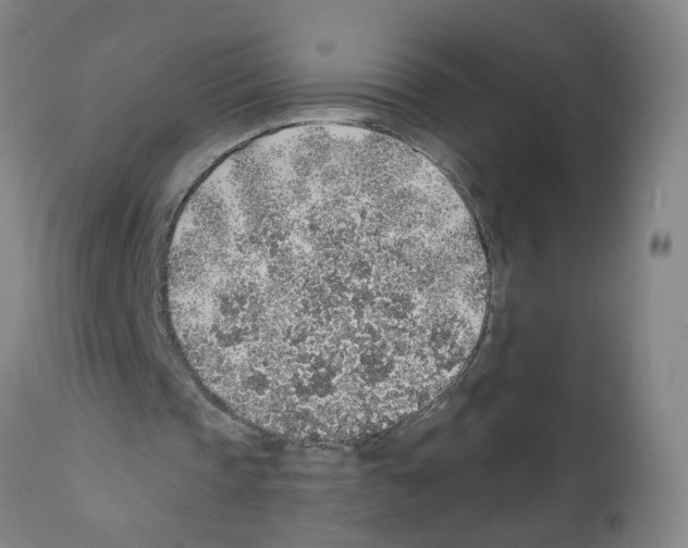 X0000112380337200909241220