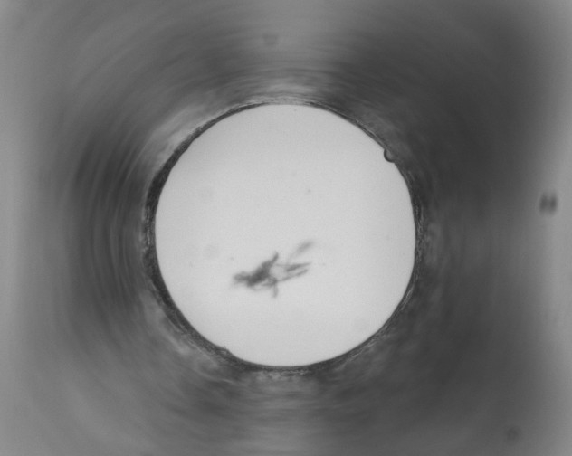 X0000112380338200909241220