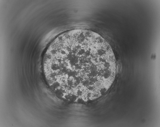 X0000112380339200909241220