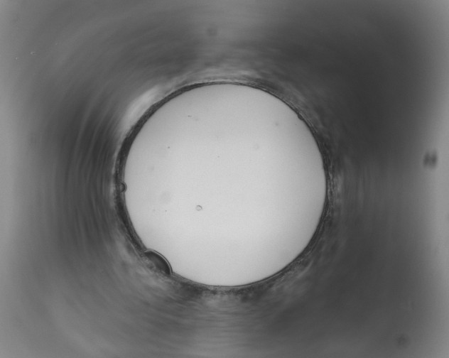 X0000112380340200909241220