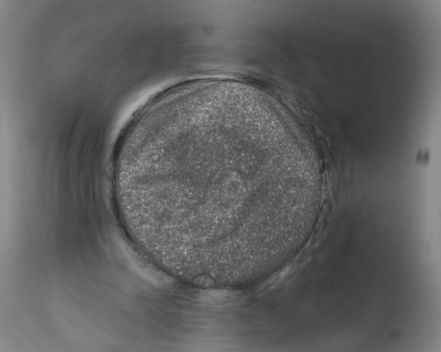 X0000112380342200909241220