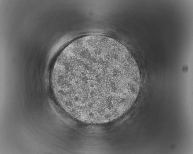 X0000112380343200909241220