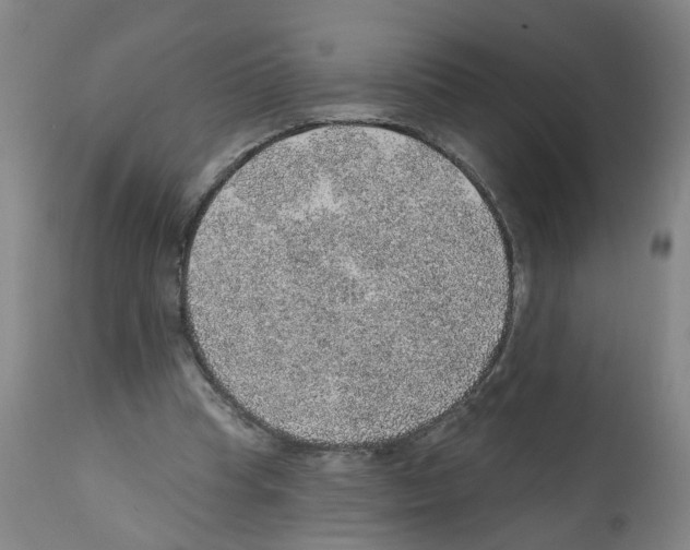 X0000112380345200909241220