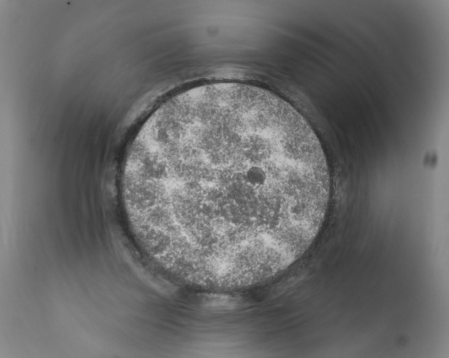 X0000112380347200909241220