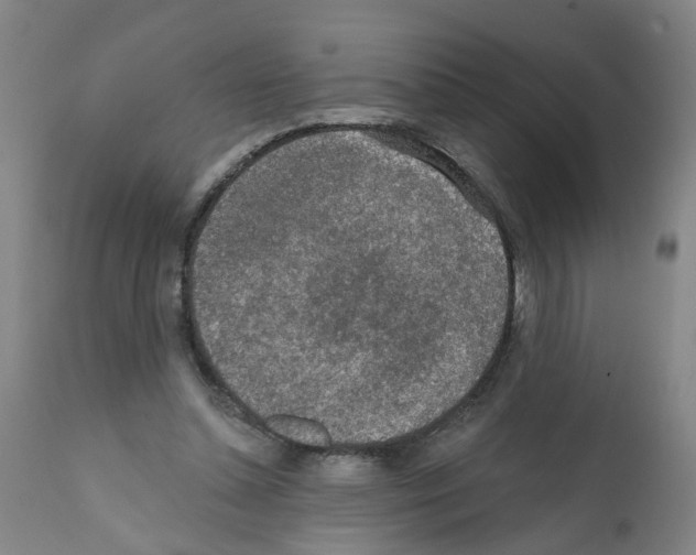 X0000112380348200909241220