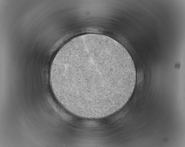 X0000112380349200909241220