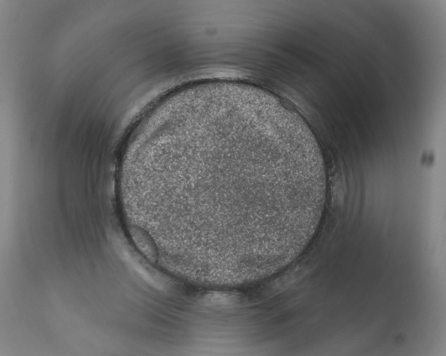 X0000112380350200909241220