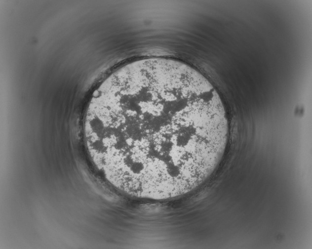 X0000112380351200909241220